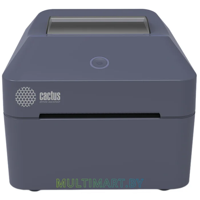 Термопринтер Cactus CS-TP-D430UB